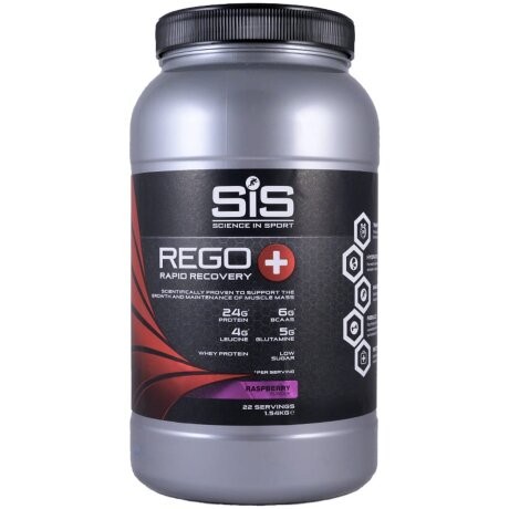 SiS REGO Rapid Recovery Plus 1540 г
