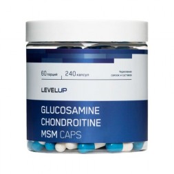 Level Up Chondroitine Glucosamine MSM