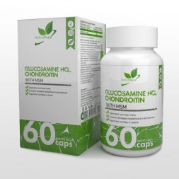 NaturalSupp Glucosamine Chondrotin MSM