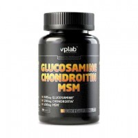 Vplab Glucosamine Chondroitin MSM